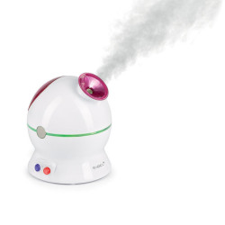 Vapozone multifonctions - Camelia 250ml