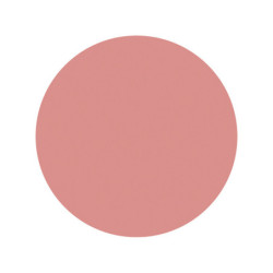 Godet fard à joues Oranger