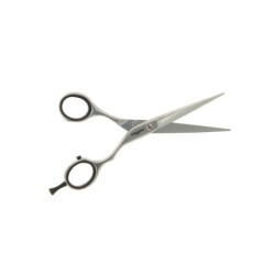 Ciseaux droit en acier inoxydable