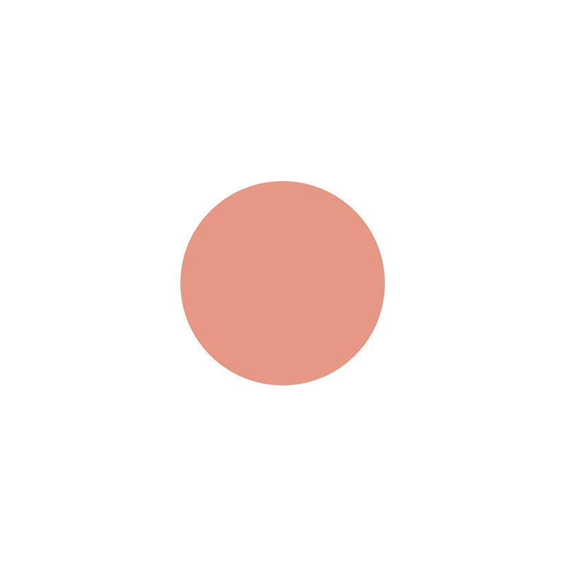 Godet fard à joues Mangue