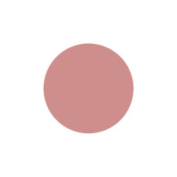 Godet fard a joues beige rose 3g