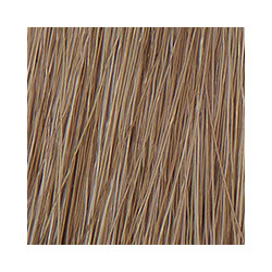 Coloration permanente P3 Color