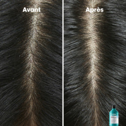 Shampoing dermo-purifiant pour cuirs chevelus gras Scalp
