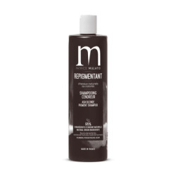 Shampoing Repigmentant Cendreur