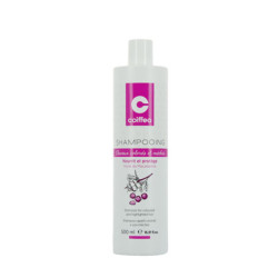 Shampooing cheveux colorés