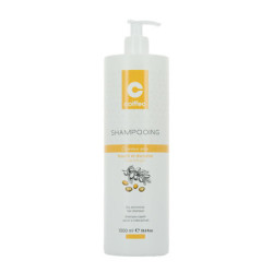 Shampooing cheveux secs