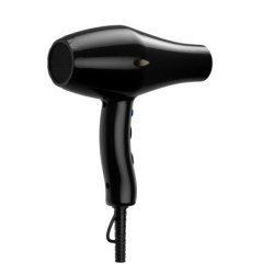 Sèche-cheveux professionnel ionique 2400W Noir