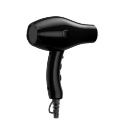 Sèche-cheveux professionnel compact 2000W Noir - Léger et silencieux