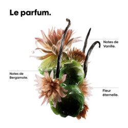 Shampoing réparateur moléculaire Absolut Repair Molecular