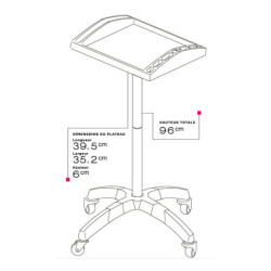 Table de service plateau Framboise transparente 39.5x32.5x6cm