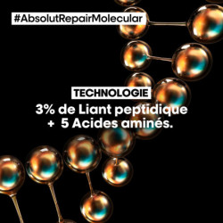 Pré-traitement concentré professionnel Absolut Repair Molecular