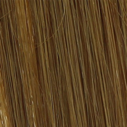 Mèches extensions naturelles Blond x10