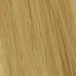 Mèches extensions naturelles Blond très clair doré x10