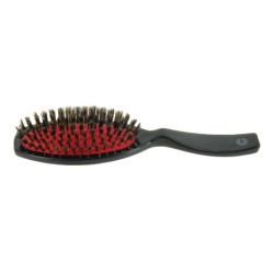 Brosse pneumatique en sanglier