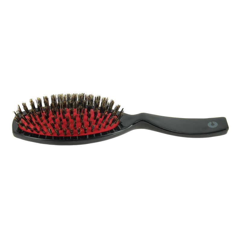 Brosse pneumatique en sanglier