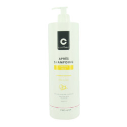 Après-shampooing cheveux secs