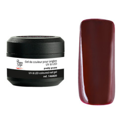 Gel de couleur UV & LED Technigel Color It Pretty prune